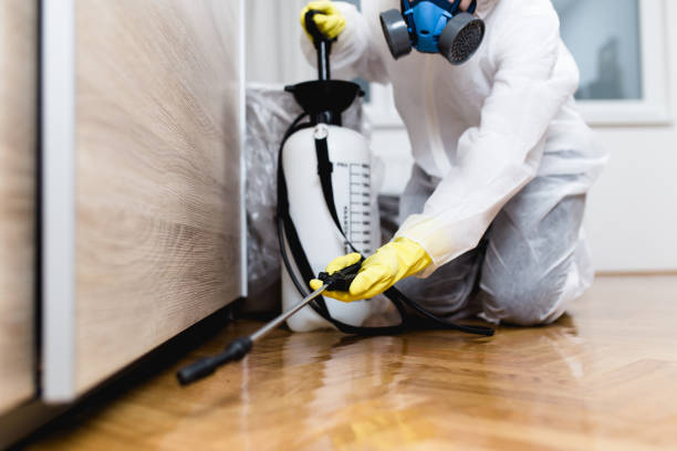 Best Pest Control Treatment  in Kosciusko, MS