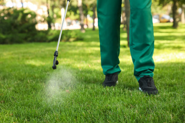 Best Pest Inspection Near Me  in Kosciusko, MS