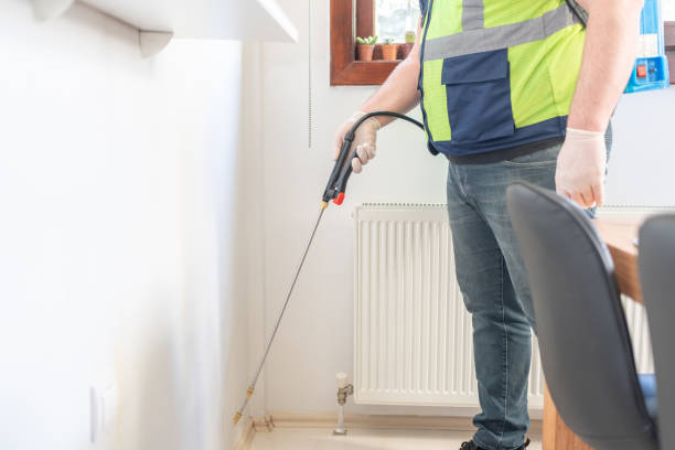 Best Flea Control Services  in Kosciusko, MS